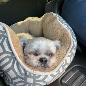 Meet your Posher, Pauline